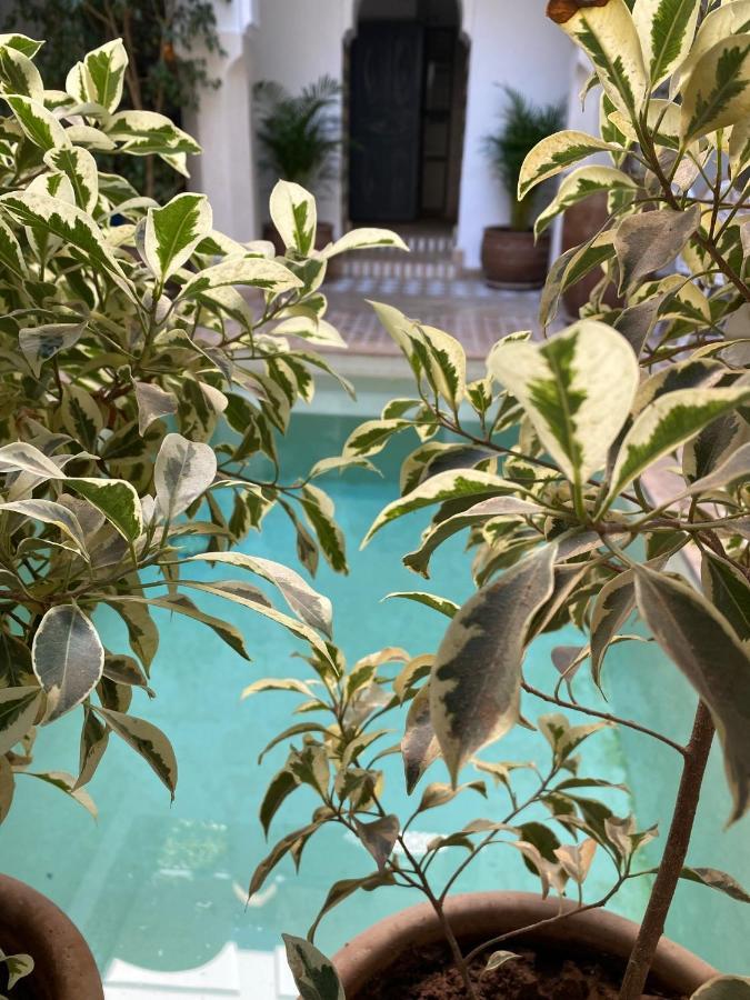 Riad Magellan Yoga And Spa Marrakesh Esterno foto