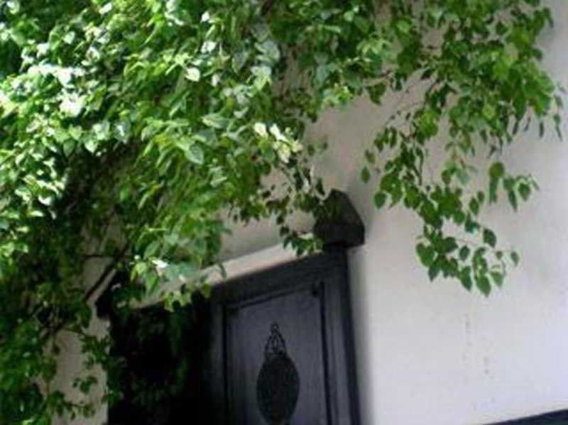 Riad Magellan Yoga And Spa Marrakesh Esterno foto